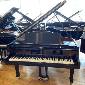 Steinway and Son
