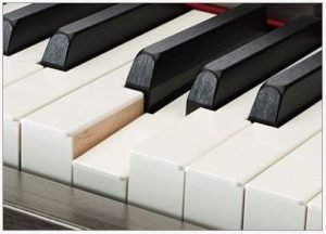 Digital Piano Keys