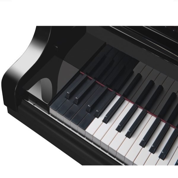 Bösendorfer Imperial 290 (뵈젠도르퍼 임페리얼 290)