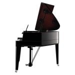 Shop Pianos | Faust Harrison Pianos