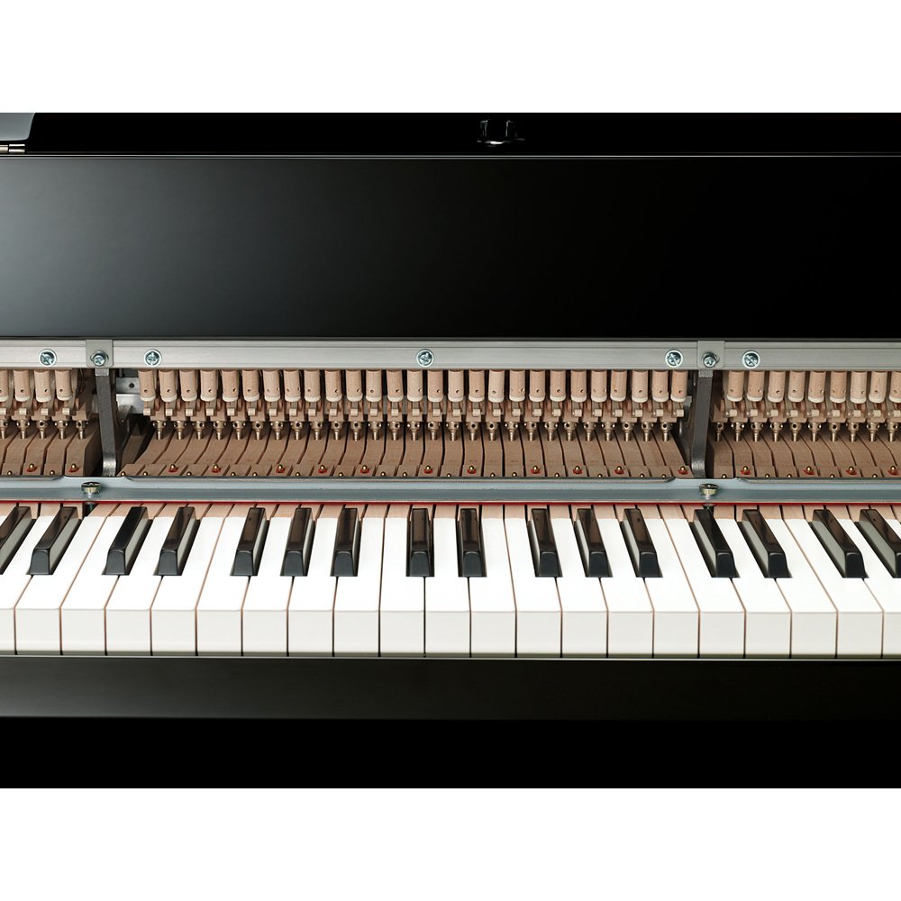 Yamaha N3X AvantGrand Piano | Faust Harrison Pianos