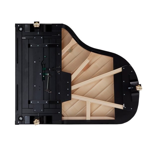 Fazioli F183 | Faust Harrison Pianos