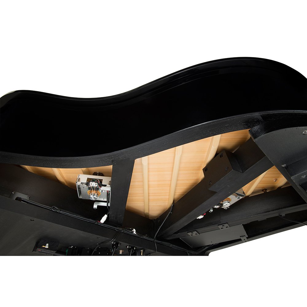 TransAcoustic