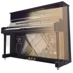 TransAcoustic