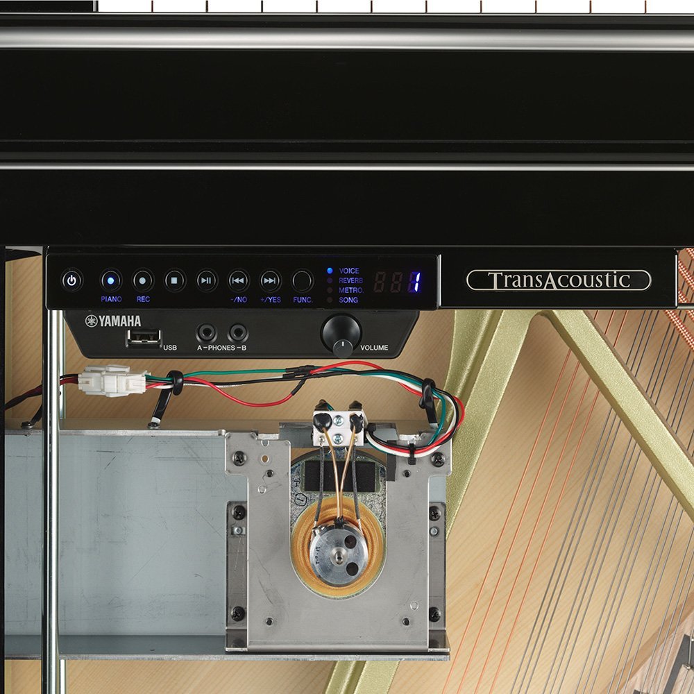 TransAcoustic