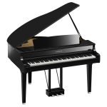 CLP-895GP