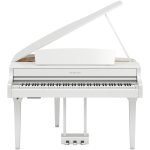 CLP-895GP