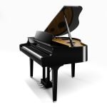 CLP-895GP