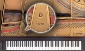 serial number