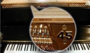 serial number