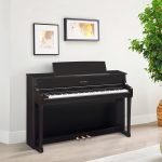 CLP-875_Rosewood_Lifestyle CLP-875_Rosewood_Lifestyle