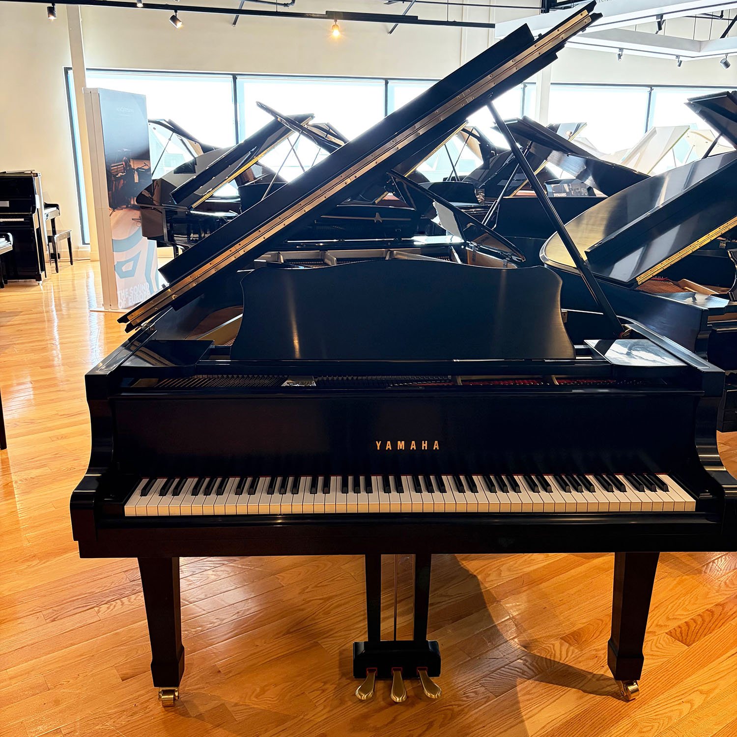 メゾピアノ　110 Yamaha Piano, Model C3DF SE Satin Ebony, 1981 | Faust Harrison Pianos