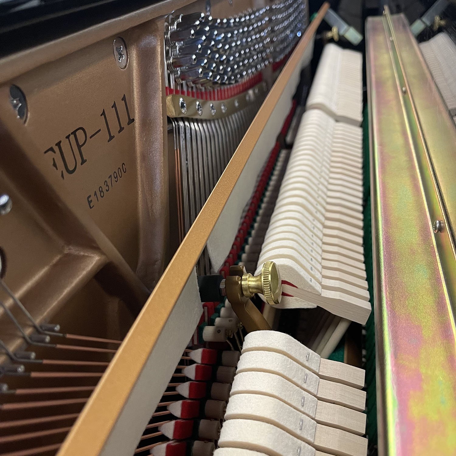 E183790C-6.jpg