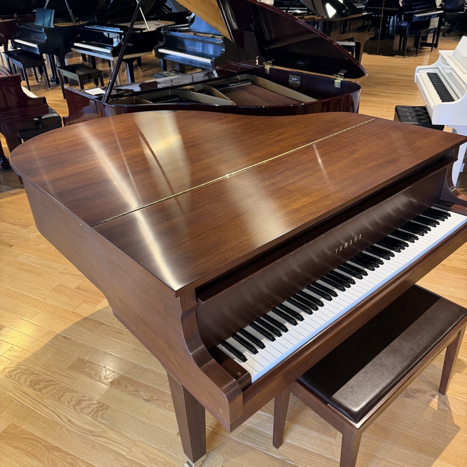 Yamaha Piano, Model GC1 Walnut, 2002 | Faust Harrison Pianos