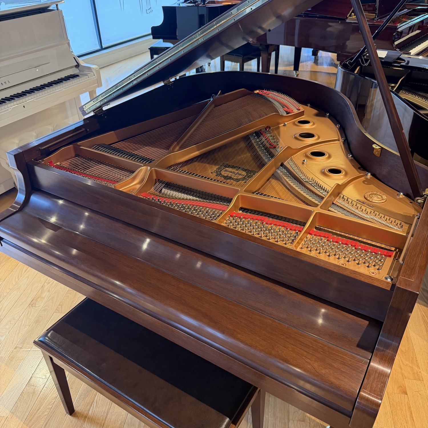 Yamaha Piano, Model GC1 Walnut, 2002 | Faust Harrison Pianos