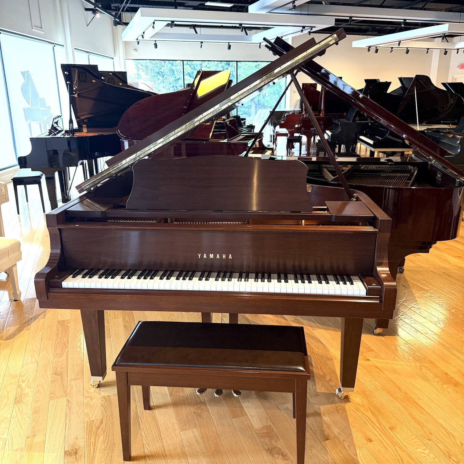 Yamaha Piano, Model GC1 Walnut, 2002 | Faust Harrison Pianos