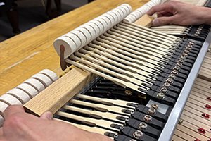 Align Hammers 14